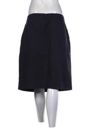 Sukně Unbranded, Velikost 3XL, Barva Modrá, Cena  241,00 Kč