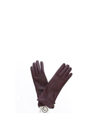 Handschuhe Sienna De Luca, Farbe Rot, Preis 16,99 €
