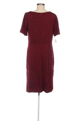Kleid Betty Barclay, Größe XL, Farbe Rot, Preis € 57,99