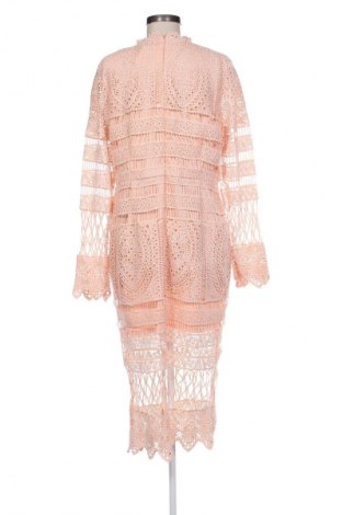Kleid Boohoo, Größe XL, Farbe Rosa, Preis € 29,99