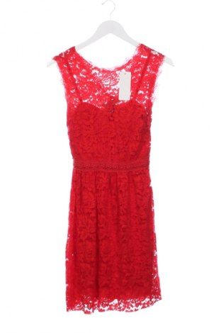 Φόρεμα NEW COLLECTION, Μέγεθος XS, Χρώμα Πολύχρωμο, Τιμή 55,24 €