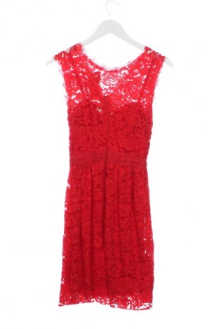 Φόρεμα NEW COLLECTION, Μέγεθος XS, Χρώμα Πολύχρωμο, Τιμή 55,24 €