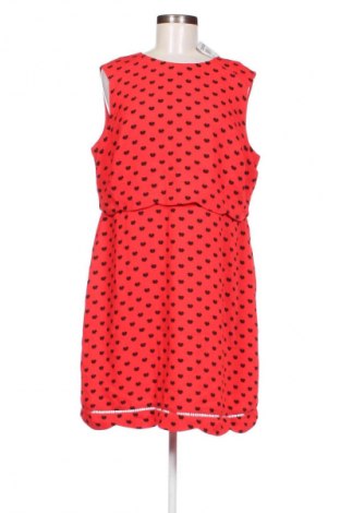 Sukienka Oasis, Rozmiar XL, Kolor Kolorowy, Cena 221,99 zł