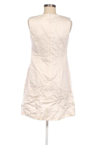 Kleid Orsay, Größe M, Farbe Mehrfarbig, Preis 33,99 €