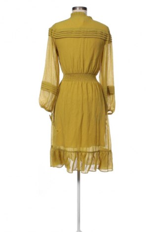 Kleid Sienna, Größe XS, Farbe Golden, Preis 33,99 €
