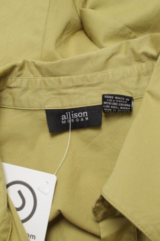 Dámska košeľa  Allison Morgan, Veľkosť XL, Farba Zelená, Cena  18,14 €
