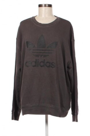 Damen Shirt Adidas, Größe S, Farbe Mehrfarbig, Preis 21,83 €