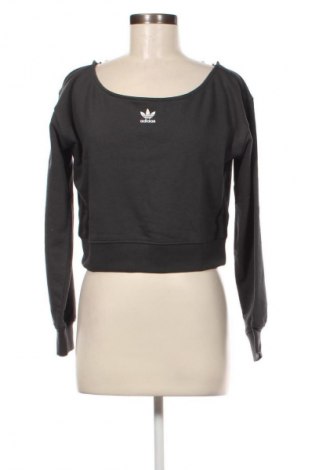 Damen Shirt Adidas, Größe S, Farbe Grau, Preis € 21,49