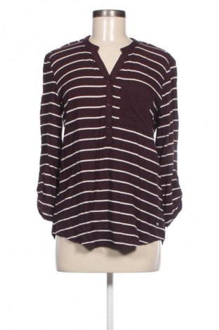 Damen Shirt Charles Vogele, Größe M, Farbe Mehrfarbig, Preis € 5,00