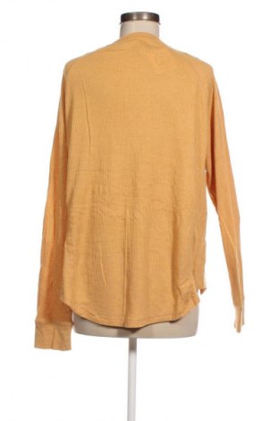 Damen Shirt Cotton On, Größe XL, Farbe Orange, Preis € 4,99