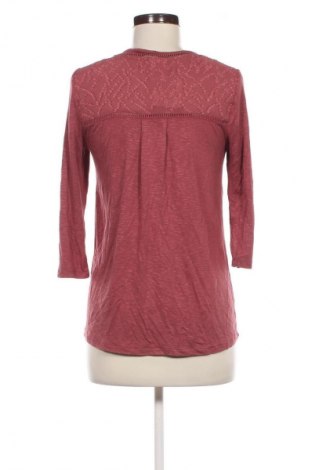 Damen Shirt Dolan, Größe XS, Farbe Aschrosa, Preis € 3,79