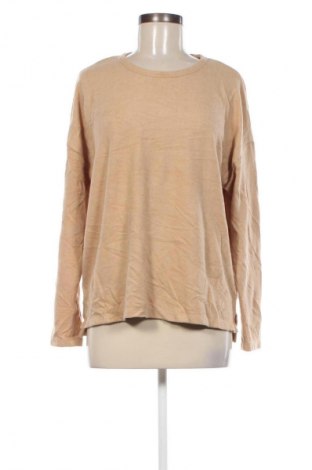 Damen Shirt French Connection, Größe M, Farbe Braun, Preis € 2,99