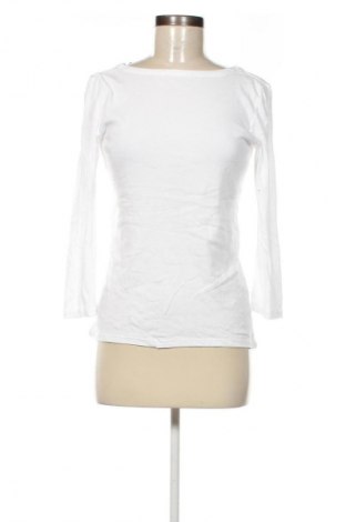 Damen Shirt Gap, Größe M, Farbe Weiß, Preis 6,96 €