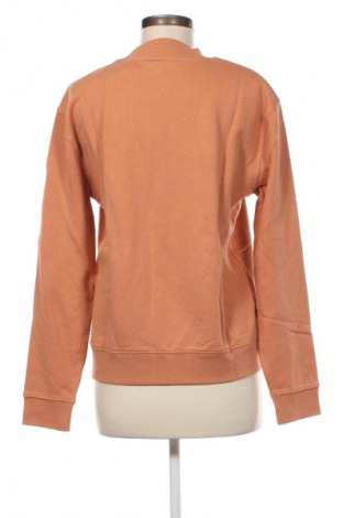 Damen Shirt Lee, Größe S, Farbe Braun, Preis € 8,99