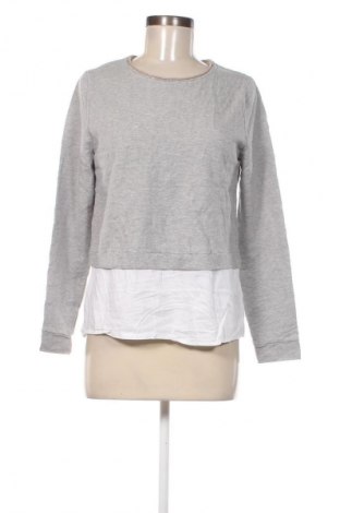 Damen Shirt Peserico, Größe S, Farbe Grau, Preis € 85,59