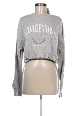 Damen Shirt Terranova, Größe L, Farbe Grau, Preis € 4,49