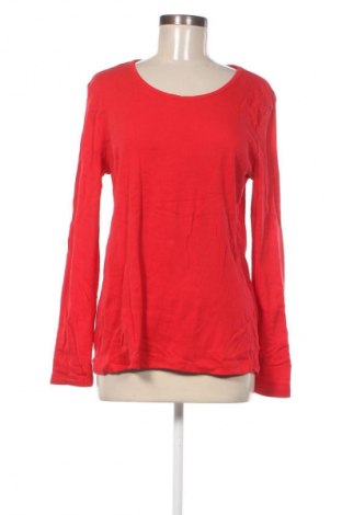 Damen Shirt White Stag, Größe L, Farbe Rot, Preis € 2,99