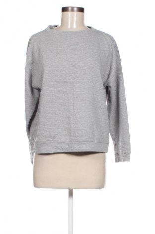 Damen Shirt Zara, Größe S, Farbe Grau, Preis 6,49 €