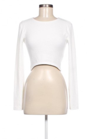 Damen Shirt Zara, Größe L, Farbe Weiß, Preis 6,79 €