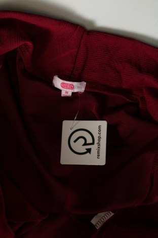 Damen Strickjacke SES, Größe M, Farbe Rot, Preis 7,49 €