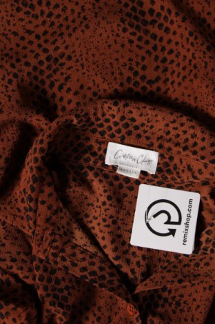 Damenbluse Cotton Club, Größe S, Farbe Braun, Preis € 3,99