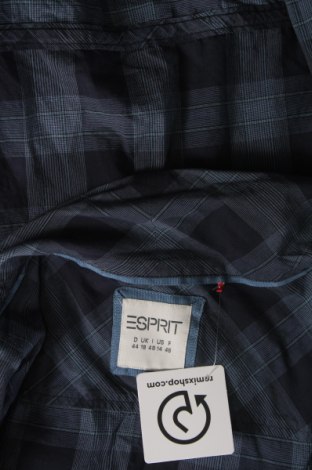 Damenbluse Esprit, Größe XL, Farbe Blau, Preis 10,99 €