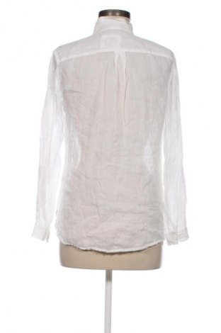 Damenbluse Massimo Dutti, Größe M, Farbe Weiß, Preis 31,13 €