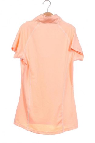 Damen T-Shirt Steeds, Größe XS, Farbe Orange, Preis 7,00 €