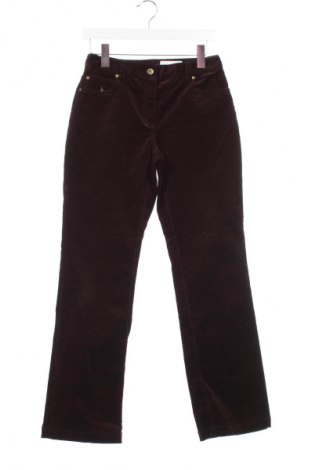 Pantaloni de velvet de femei Rafaella, Mărime XS, Culoare Maro, Preț 28,22 Lei