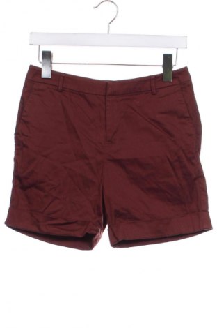 Damen Shorts Maison Scotch, Größe XS, Farbe Braun, Preis 24,99 €