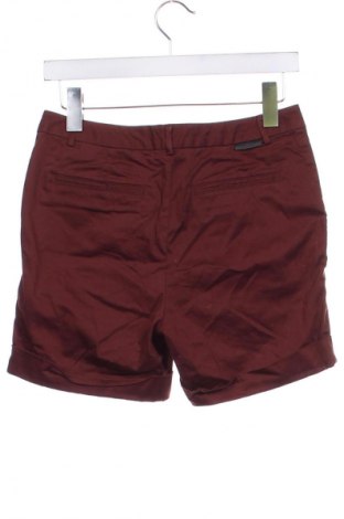 Damen Shorts Maison Scotch, Größe XS, Farbe Braun, Preis 24,99 €