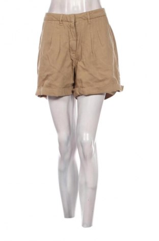 Damen Shorts U.S. Polo Assn., Größe XXL, Farbe Beige, Preis 25,05 €