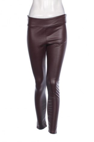 Damen Leggings Calzedonia, Größe L, Farbe Lila, Preis € 6,99