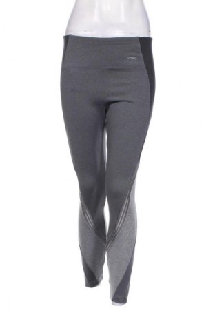 Damen Leggings Oysho, Größe L, Farbe Grau, Preis 6,49 €