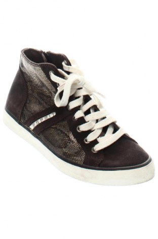 Damenschuhe Esprit, Größe 38, Farbe Braun, Preis € 23,99