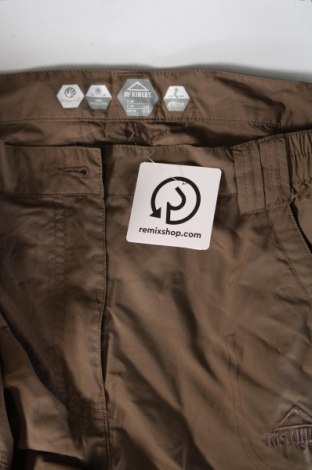 Damenhose, Größe M, Farbe Grün, Preis € 6,99