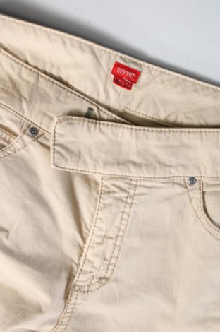 Damenhose Esprit, Größe M, Farbe Beige, Preis € 13,99