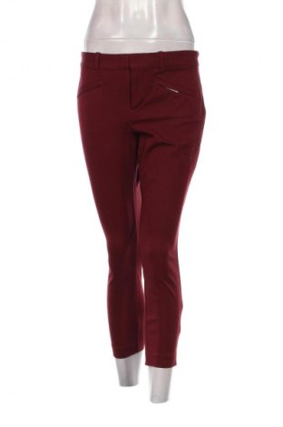 Damenhose Gap, Größe S, Farbe Rot, Preis € 3,79