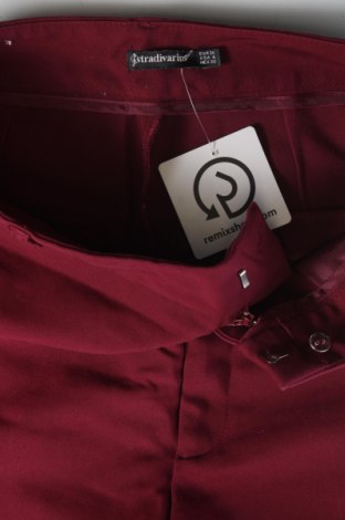 Damenhose Stradivarius, Größe S, Farbe Rot, Preis € 10,99