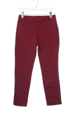 Damenhose Stradivarius, Größe S, Farbe Rot, Preis € 8,49