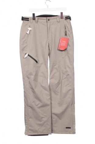 Pantaloni de damă pentru sporturi de iarnă Icepeak, Mărime XXL, Culoare Gri, Preț 91,99 Lei