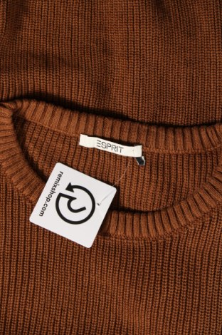 Damenpullover Esprit, Größe M, Farbe Braun, Preis € 11,99