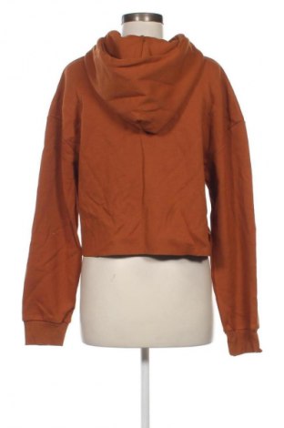 Damen Sweatshirt Daily, Größe L, Farbe Orange, Preis € 6,49