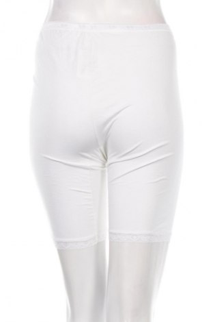 Damen Unterwäsche Sloggi, Größe XL, Farbe Weiß, Preis € 38,14