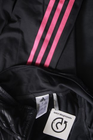 Dámsky športový vrch  Adidas, Veľkosť S, Farba Modrá, Cena  24,55 €