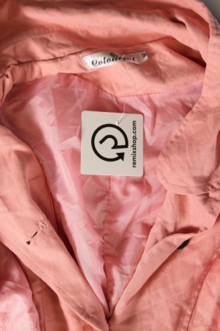 Damenjacke, Größe M, Farbe Rosa, Preis € 5,99