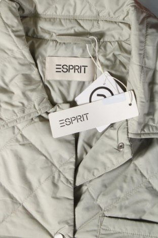 Damenjacke Esprit, Größe XL, Farbe Grün, Preis € 88,66