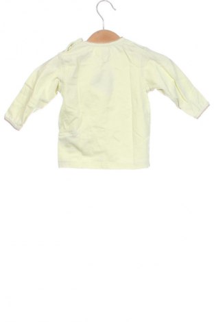 Kinder Shirt, Größe 6-9m/ 68-74 cm, Farbe Grün, Preis € 1,99