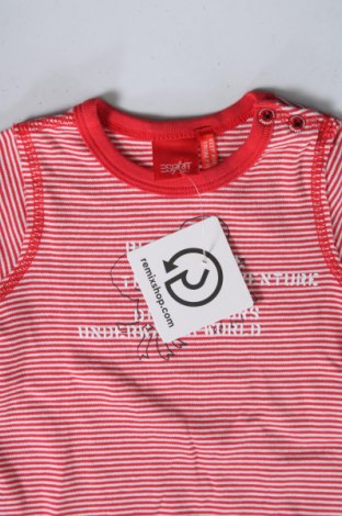 Kinder Shirt Esprit, Größe 3-6m/ 62-68 cm, Farbe Rot, Preis 5,99 €