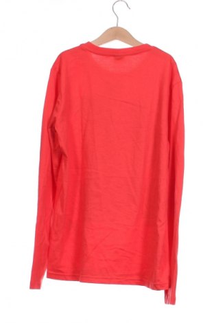 Kinder Shirt Losan, Größe 12-13y/ 158-164 cm, Farbe Rot, Preis 5,99 €